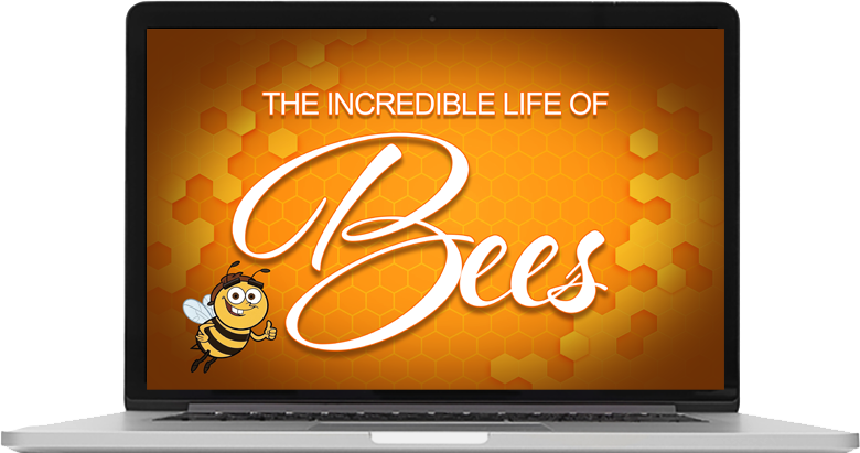 laptop computer with Incredible Life of Bees on the screen